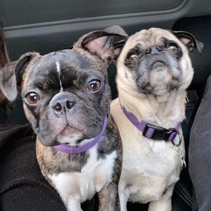 Meet your Posher, Kellie